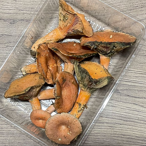 ����14�ġ� 10���μ衡�ֽ�����200g