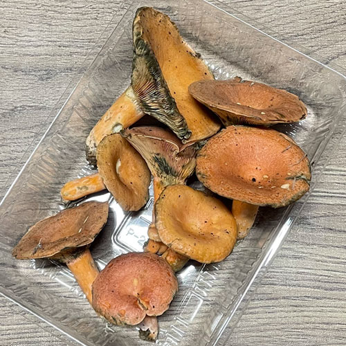 ����14�ġ� 10���μ衡�ֽ�����200g
