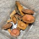 ����14�ġ� 10���μ衡�ֽ�����200g