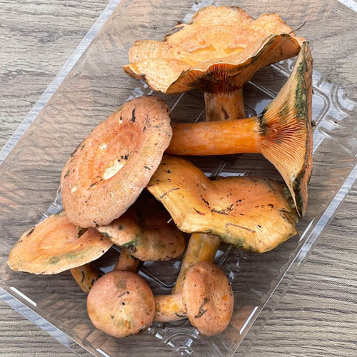 ����7�ġ� 1���μ衡�ֽ�����200g