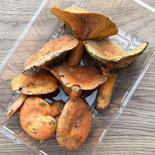 ����7�ġ� 1���μ衡�ֽ�����200g