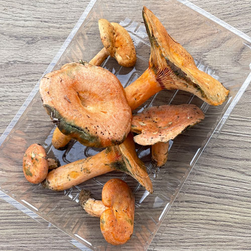 ����7�ġ� 1���μ衡�ֽ�����200g