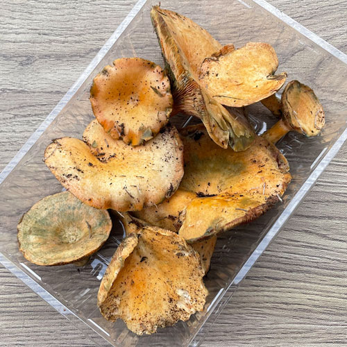 ����3�ġ�1���μ衡���������ʡ� �ֽ��� 250g