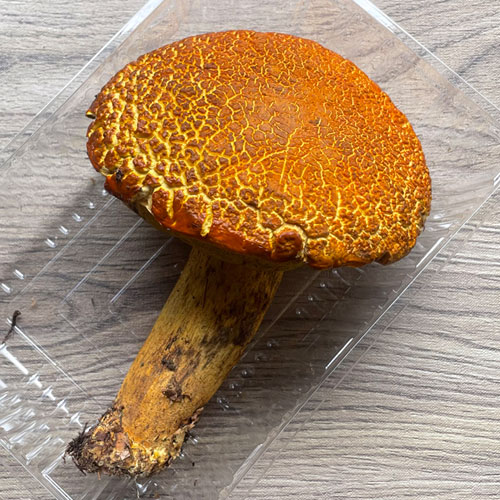 ����1�ġ�2���μ� ������ޥɥꡦ���� 350g