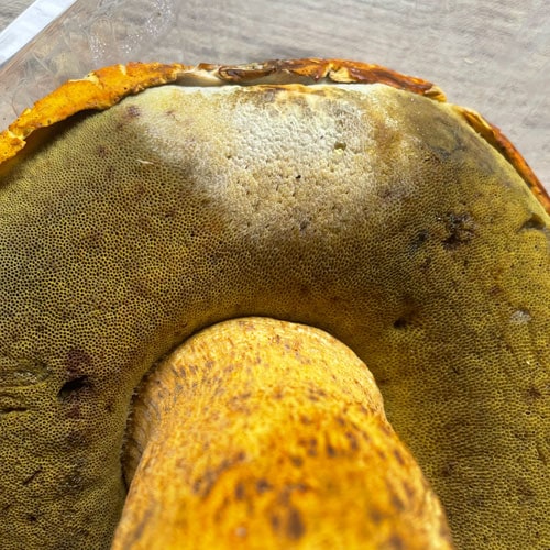 ����1�ġ�2���μ� ������ޥɥꡦ���� 350g