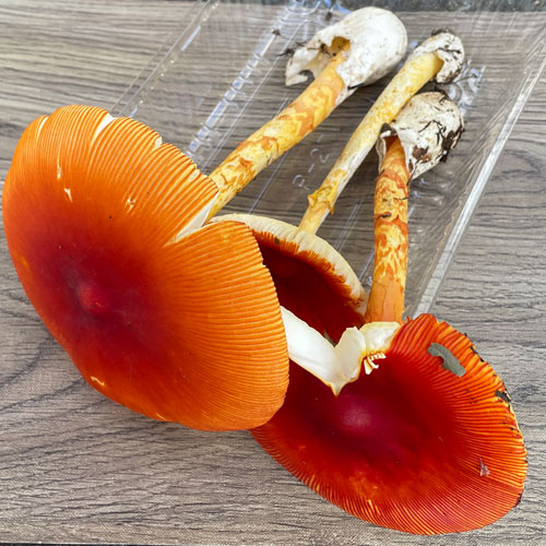 ����5�ġ�3���μ衡���ޤ����ҥ饭���� 200g