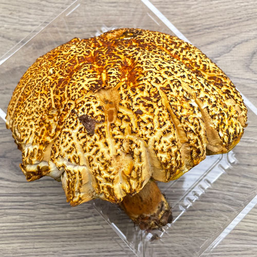 ����2�ġ�4���μ� ������ޥɥꡦ�ҥ饭 430g