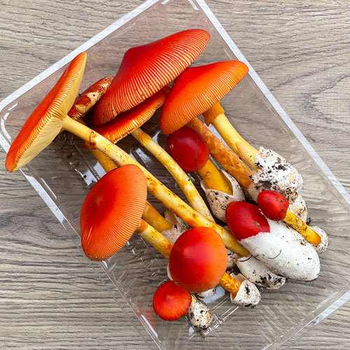 ����2�ġ�4���μ衡���ޤ��� 200g