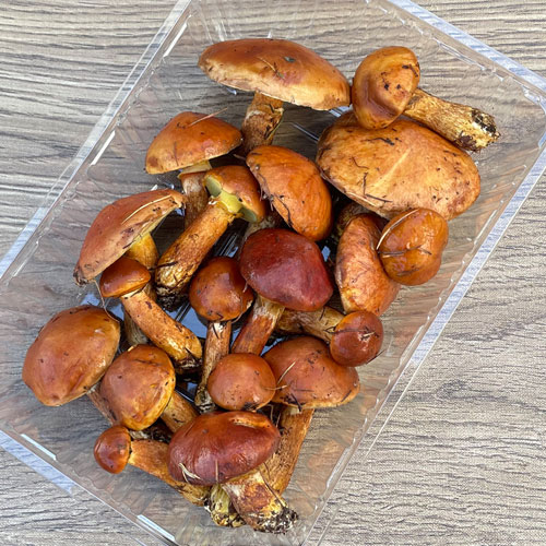 ����5�ġ�24���μ衡�ϥʥ����� 300g