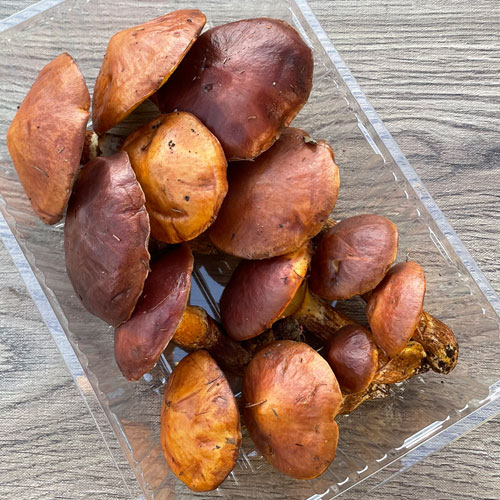 ����5�ġ�26���μ衡�ϥʥ����� 300g