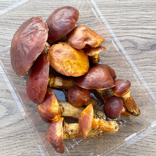 ����5�ġ�26���μ衡�ϥʥ����� 300g