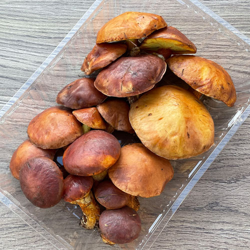 ����5�ġ�26���μ衡�ϥʥ����� 300g