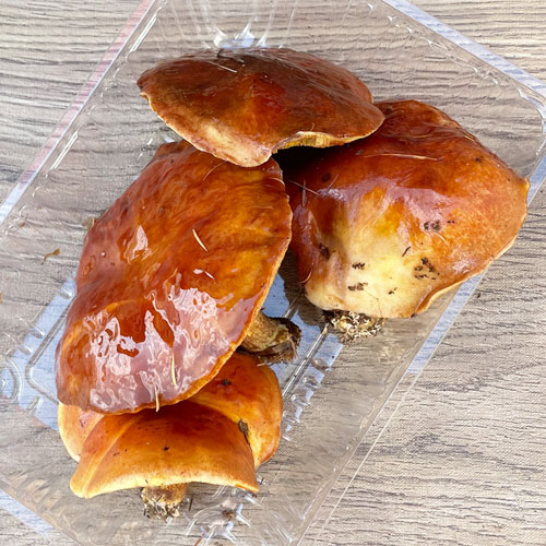 2ġ31μ衡ϥʥ 300g