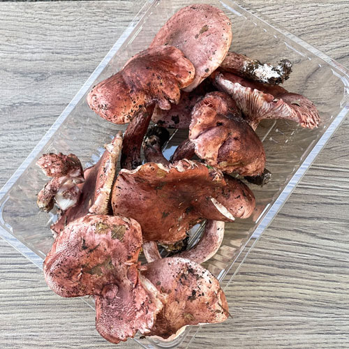 ����2�ġ�24���μ衡�����ᤸ������ 300g