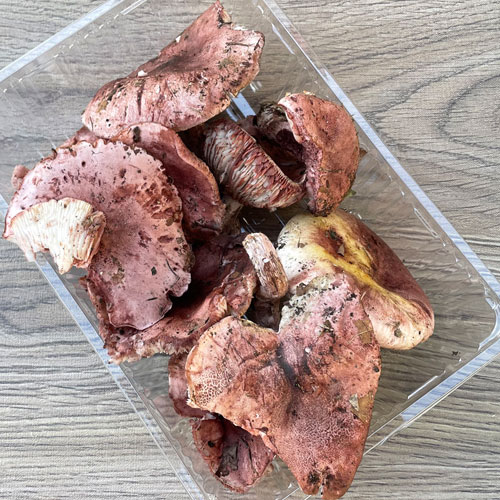 ����2�ġ�24���μ衡�����ᤸ������ 300g