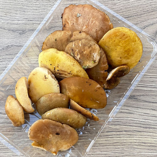 ����7�ġ�31���μ� �भ�� 300g