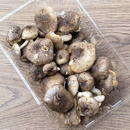 3ġ1μ衡 200g