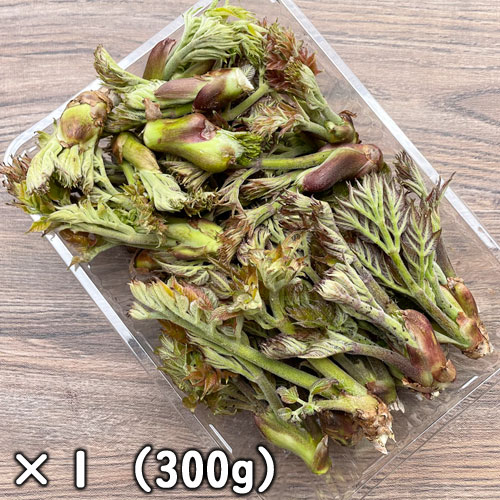 ŷ�� ����β� �ʥ���Υ�ˡ��ߥå���