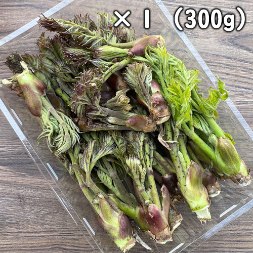 ŷ�� ����β� �ʥ���Υ�ˡ��ߥå���