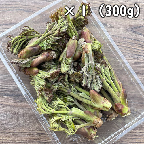 ŷ�� ����β� �ʥ���Υ�ˡ��ߥå���