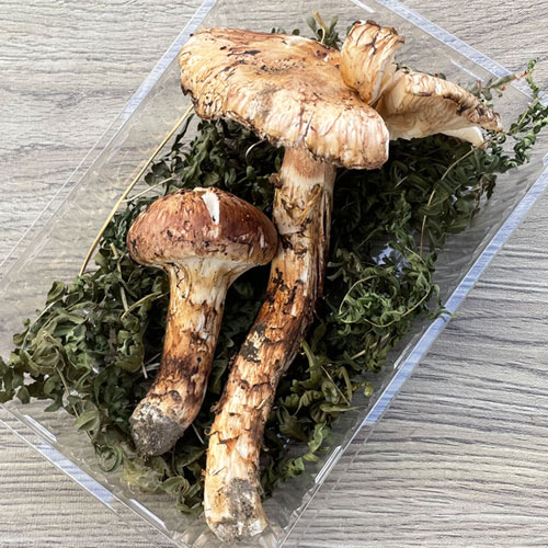 ����2�ġ�24���μ� �������������� 200g