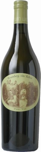 �������˥󥬡����ӥ���٥륯���������ʡ������ߥå��奿�������å�2022Wieninger Bisamberg Wiener Gemischter Satz2022