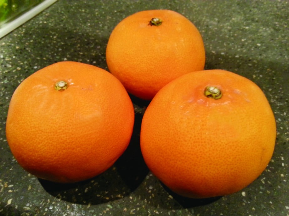 【予約販売】せとか 約４kg　 【3月以降お届け予定】