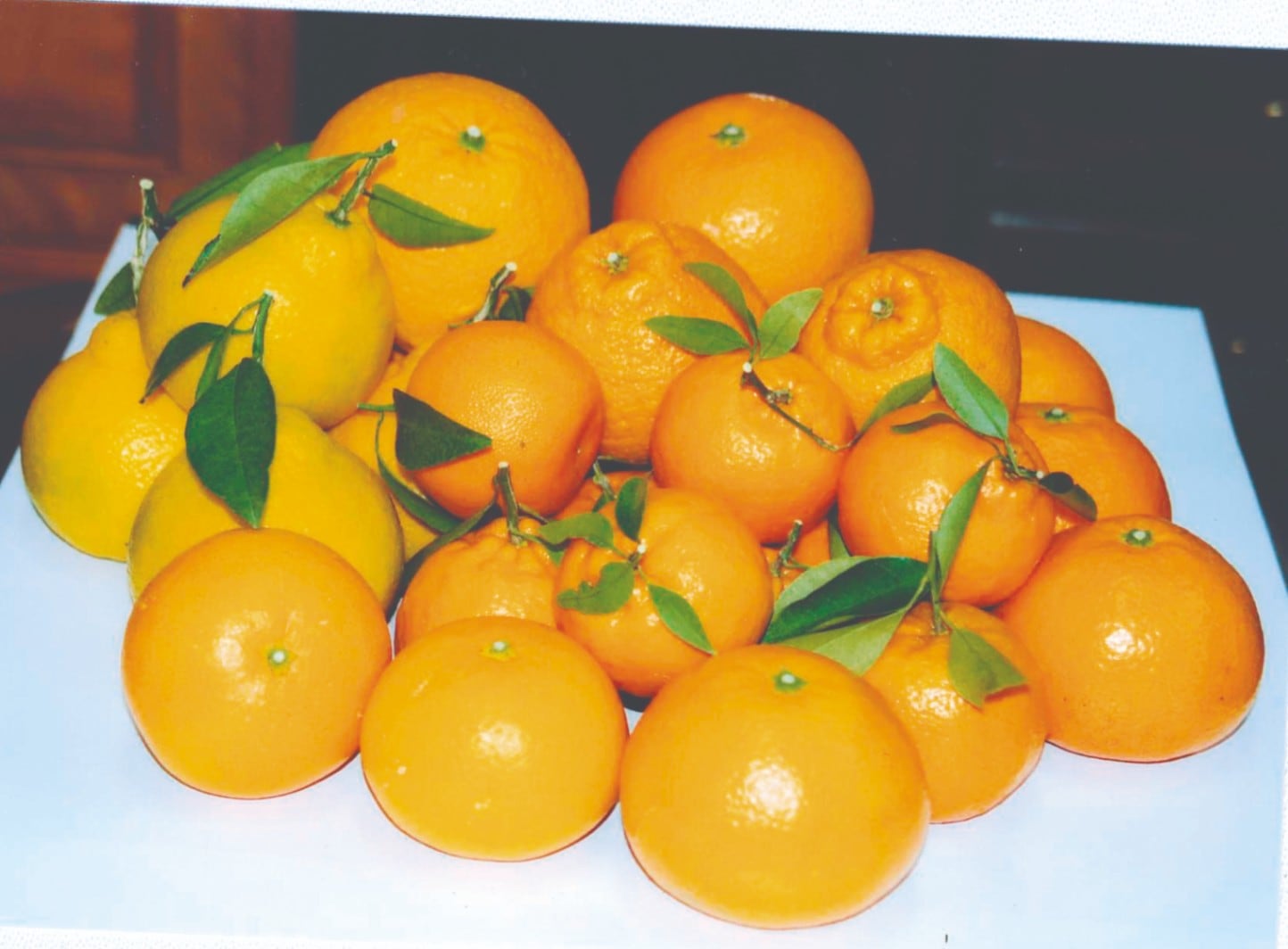 【予約販売】ポンカン 約3kg　 【１月下旬以降お届け予定】