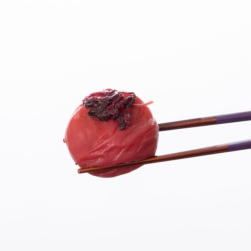 紀州南高梅 うす塩しそ漬梅　450ｇ｜減塩仕立てのまろやか紫蘇梅干し【紀の里食品】