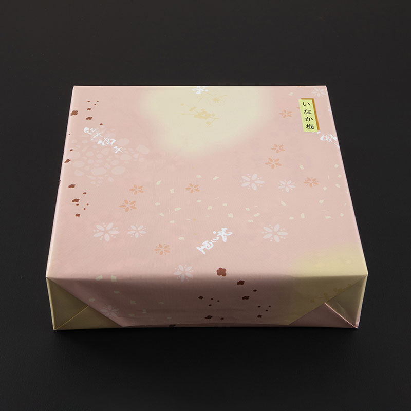 紀州産南高梅 いなか梅 1kg｜昔ながらの味わい【紀の里食品】