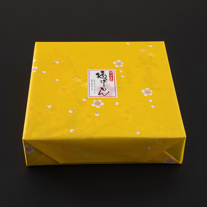 紀州南高梅 梅ばーもん 500g｜塩分5％　はちみつ×りんご酢の梅干し【紀の里食品】