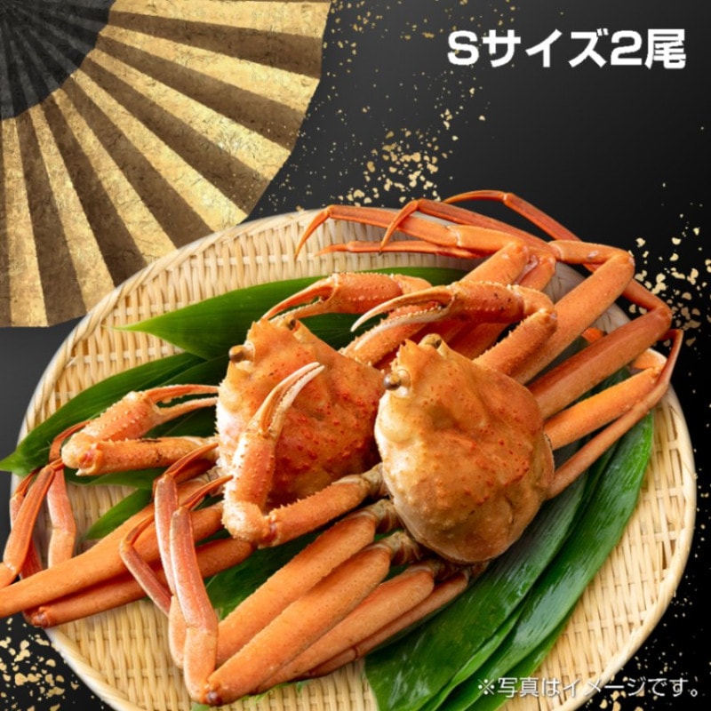 【7S-2】冷凍ボイル本ズワイガニSサイズ２尾（税込・送料込み）