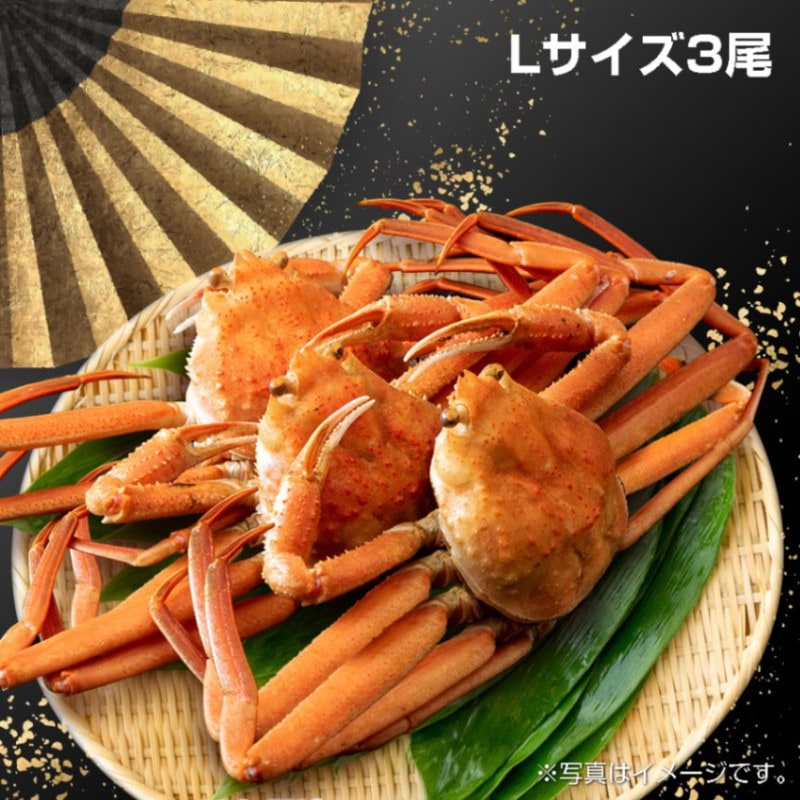 【6L-3】冷凍ボイル本ズワイガニLサイズ3尾（税込・送料込み）