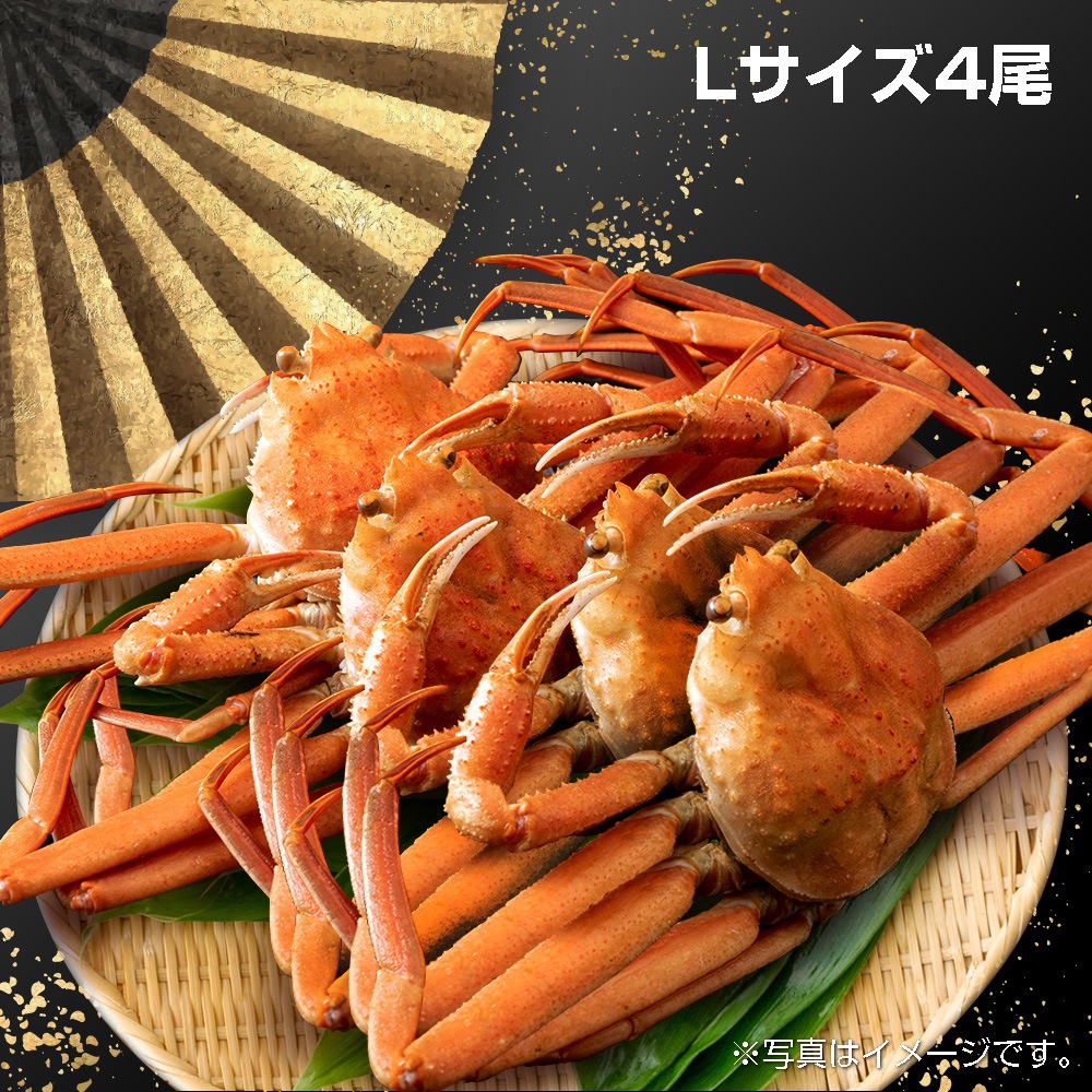 【7L-4】冷凍ボイル本ズワイガニLサイズ４尾（税込・送料込み）
