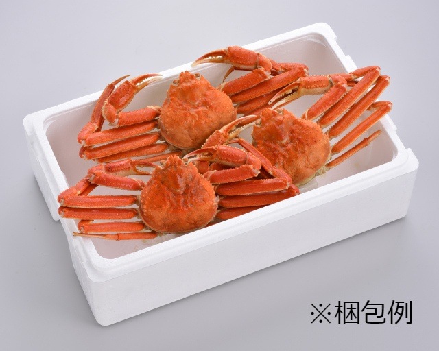 【7L-4】冷凍ボイル本ズワイガニLサイズ４尾（税込・送料込み）