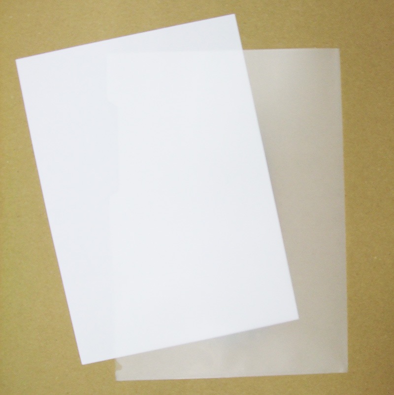 クリアファイル　-鯉-