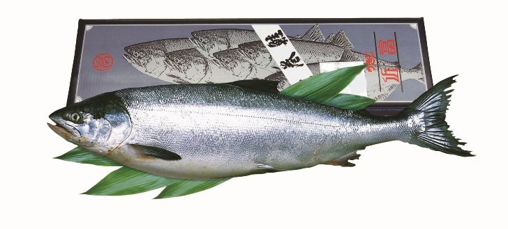 ������1��ʪ 2.4kg���塡�̳�ƻ��