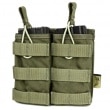 FLYYE Molle EV Universal Double Mag Pouch RG