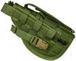 FLYYE MOLLE Pistol Holster OD