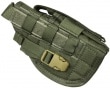 FLYYE MOLLE Pistol Holster RG