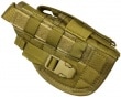 FLYYE MOLLE Pistol Holster CB