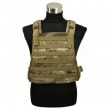 FLYYE MBSS Plate Carrier A-TACS