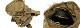 SAMURAI GEAR �ȡ��ɥ��ġ��� �С����ѥå�  ������