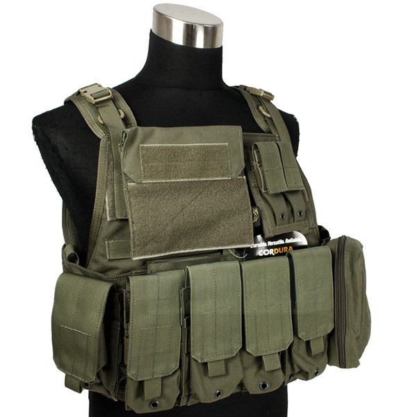 FLYYE MOLLE Style PC Plate Carrier with Pouch set RG