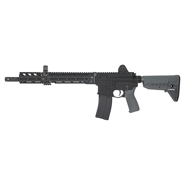 VFC T91 FSP 15����� �����֥����Хå� ���ver. ���졼