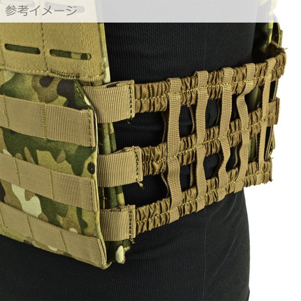 TACTECタイプ プレートキャリアー 【Multicam Black 