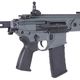 AF S002 SIG MCX Rattler SBR 4.8����� (Kestrel V2 BASIC���) ��ư���� ���졼