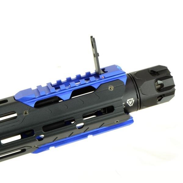 ブルーストライク 2dsc08611-61.jpg