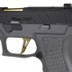 Parabellum P320 SPECTRE COMP 4.6����� �����֥����Хå����� ���졼 2024ǯver.