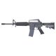 CGS T8 SP SYSTEMS COLT M653 LS �����֥����Хå� (COLT Licensed)